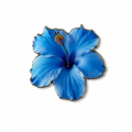 Blue Hibiscus Flower
