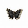 Black Butterfly